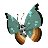 Vivillon (Jungle) - Pokestar